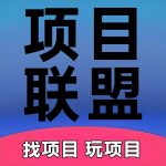 项目联盟-天庭首码网-网上创业赚钱首码项目免费推广发布平台-首码项目网